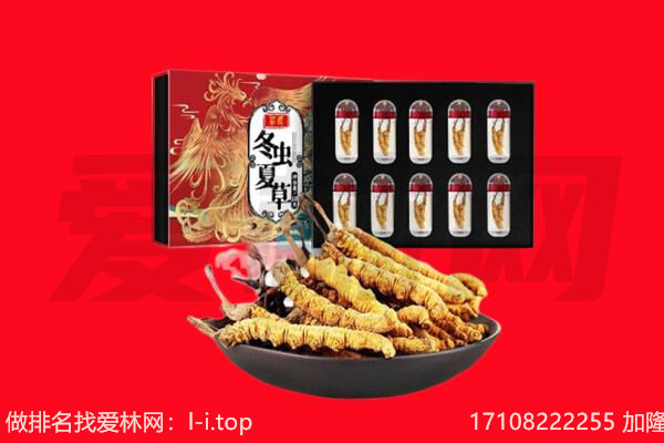 遵义市回收虫草.jpg